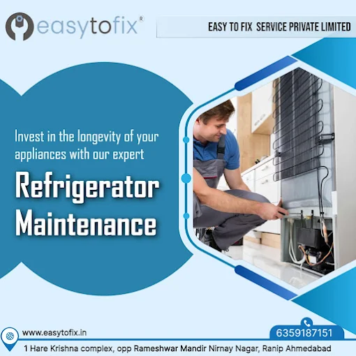 Easy To Fix Services Private Limited